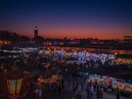 Co to jest Al w telefonie?