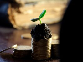 Czy będzie dywidenda PKO BP w 2023?