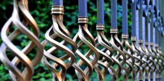 Jak łowić płocie zimą?