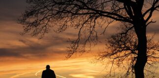 Czy na polu namiotowym obowiązuje cisza nocna?