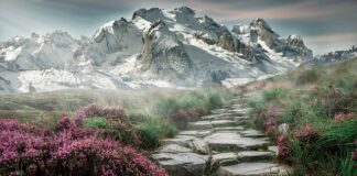 Ile powinien ważyć plecak w góry?