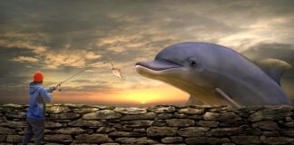 Jaka najlepsza żyłka na bata?