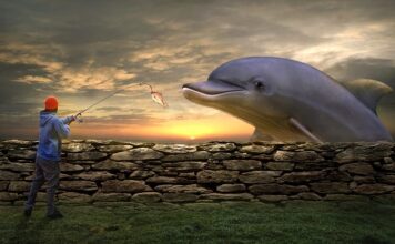 Jaka najlepsza żyłka na bata? Jaka najlepsza żyłka na bata?