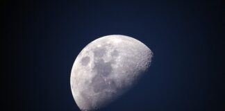 Na co zwrócić uwagę kupując polar?