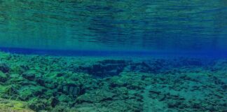 Czy neopren przemaka?