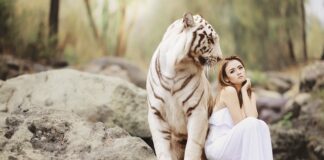 Co jest bardziej niebezpieczne grzmot czy błysk?