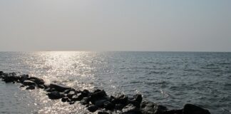 Jakiego bata warto kupić?