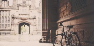 Jakie podpórki do bata?