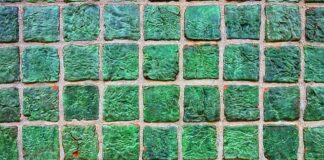 Co zamiast płytek na podłogę?