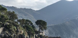 Ile kosztuje miejsce na kempingu nad morzem?