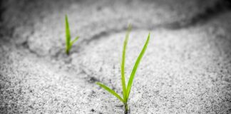 Jaka jest trwałość paneli winylowych?