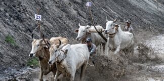 Czy przy rwie kulszowej lepiej jest leżeć czy chodzić?